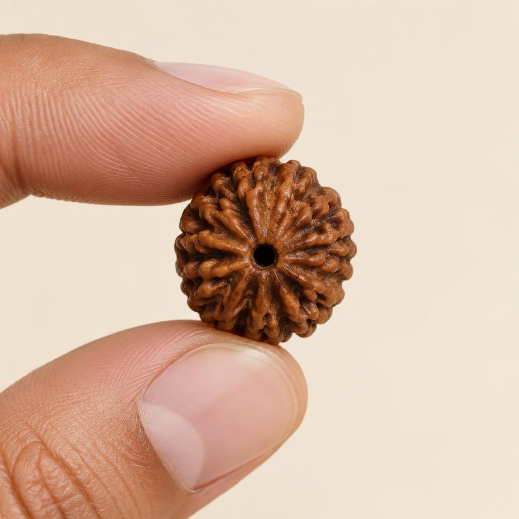 Ganesh Rudraksha Pendant — scale in hand (sample photograph)